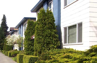 Green Lake Apartments Tour