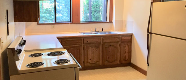 Green Lake Apartment 101